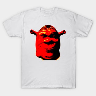 Somebody Once Told Me T-Shirt